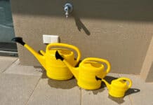 Wassersparende Pflanzenpflege bei Hitze