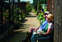 Kleingärten in Flensburg