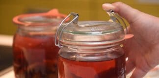 Einkochen, Einlegen und Fermentieren: So bleibt Obst und Gemüse lange haltbar