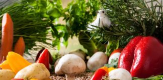 Saisonal, regional und bio: Verband Ökokiste startet Aktion für regionalen Bio-Einkauf