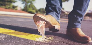 Kippen und Co.: Empfindliche Strafen für Müllsünden