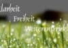 Wie systemisches Coaching Dich zu Dir selbst begleitet