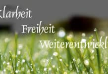 Wie systemisches Coaching Dich zu Dir selbst begleitet