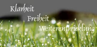 Wie systemisches Coaching Dich zu Dir selbst begleitet