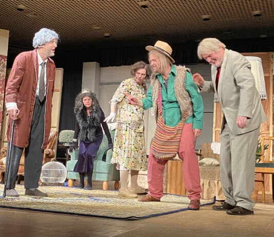 AUFGEFALLEN!Aus der Sicht einer Journal-Leserin