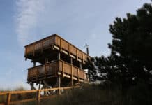 Schaurig-schön: Hier spukt’s in Schleswig-Holstein