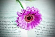 60-jähriges Jubiläum der Stadtbibliothek Flensburg