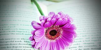 60-jähriges Jubiläum der Stadtbibliothek Flensburg