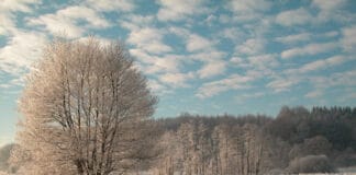 Winterwanderungen im Stiftungsland