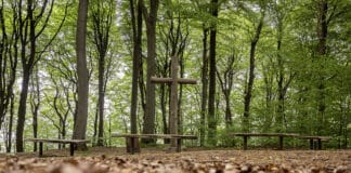 12 Jahre Ruheforst Flensburger Förde/Glücksburg (FFG)