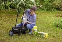 Tipps zum richtigen Vertikutieren