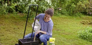 Auch ein gesunder Rasen braucht richtige Pflege