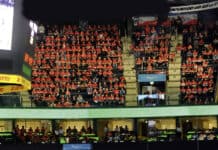 REWE Final4: Die SG in Köln