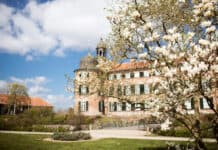 Frühlingserwachen in Schleswig-Holstein