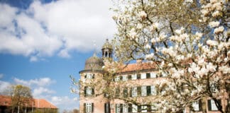 Frühlingserwachen in Schleswig-Holstein