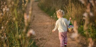 Der Ostereiergeheimcode im Volkspark