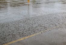 Stadtdialog „Schwammstadt: Wie funktioniert nachhaltiges Regenwassermanagement?“