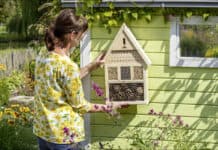 Wildbienen in den Garten einladen