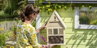 Wildbienen in den Garten einladen