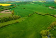 Nachhaltig und fair: „Grüner Urlaub“ in Schleswig-Holstein