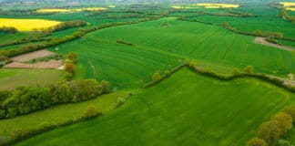 Nachhaltig und fair: „Grüner Urlaub“ in Schleswig-Holstein