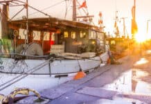 Schleswig-Holstein feiert den Fisch!