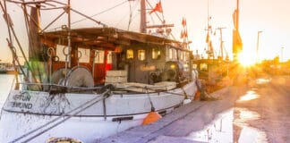 Schleswig-Holstein feiert den Fisch!