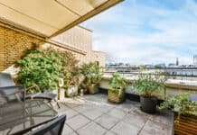 Balkongärtnern im Klimawandel