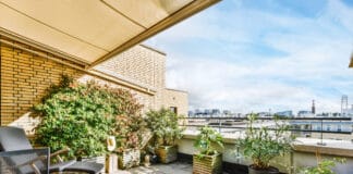 Balkongärtnern im Klimawandel