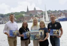 Ein Flensburger Katzenpuzzle