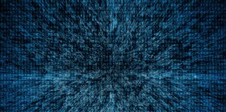 Der „Digitalbus“ kommt nach Flensburg