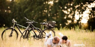 Radeln zwischen den Küsten in Schleswig-Holstein