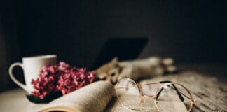 Lesung mit Romy Fölck in der Stadtbibliothek Flensburg