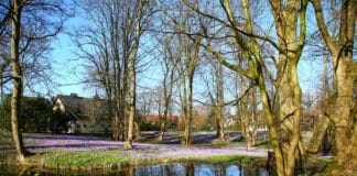 Großes Eröffnungs-Event für die Flensburger Landschaftsgärten