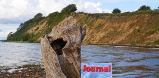 September-Ausgabe jetzt online!