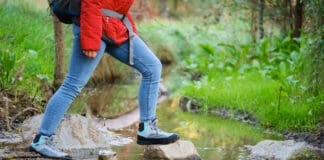 Naturgenussfestival im Tal der Langballigau: Wanderung und Nordische Tapas