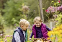 Apfelbäume im Herbst pflanzen Apfelbäume
