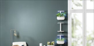 Pflanzsysteme für die Küche