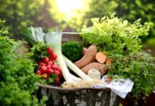 Kulinarikfest Lækkerschmecker – grenzenloser Genuss