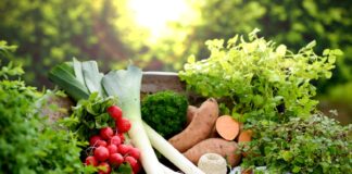 Kulinarikfest Lækkerschmecker – grenzenloser Genuss