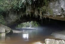 Neuseeland – Sehnsuchtsreisen und Tourismus im Wandel Neuseeland