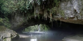 Neuseeland – Sehnsuchtsreisen und Tourismus im Wandel Neuseeland