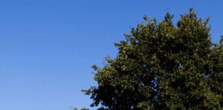 So beeinflusst die Psyche unser Verhalten im Straßenverkehr