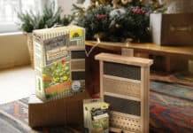 Zum Weihnachtsfest ein Bienenhaus verschenken Zum Weihnachtsfest ein Bienenhaus verschenken