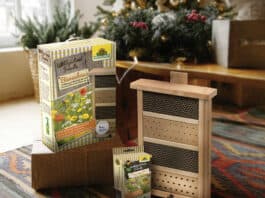 Zum Weihnachtsfest ein Bienenhaus verschenken
