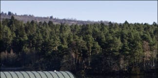 Bauen mit Zink: Formbar, langlebig und ökologisch Bauen mit Zink: Formbar, langlebig und ökologisch