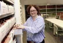 Stadtarchiv Flensburg: Jessica von Seggern und das Gedächtnis der Stadt Stadtarchiv Flensburg: Jessica von Seggern und das Gedächtnis der Stadt