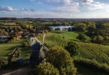 Feine Tropfen aus Schleswig-Holstein Weinberge in der Holsteinischen Schweiz an der Grebiner Mühle