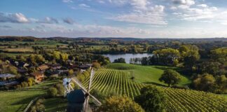 Feine Tropfen aus Schleswig-Holstein Weinberge in der Holsteinischen Schweiz an der Grebiner Mühle
