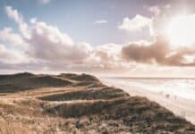 Tagestrip nach Dänemark: Von Flensburg zum skandinavischen Nachbarn Dänemark Strand